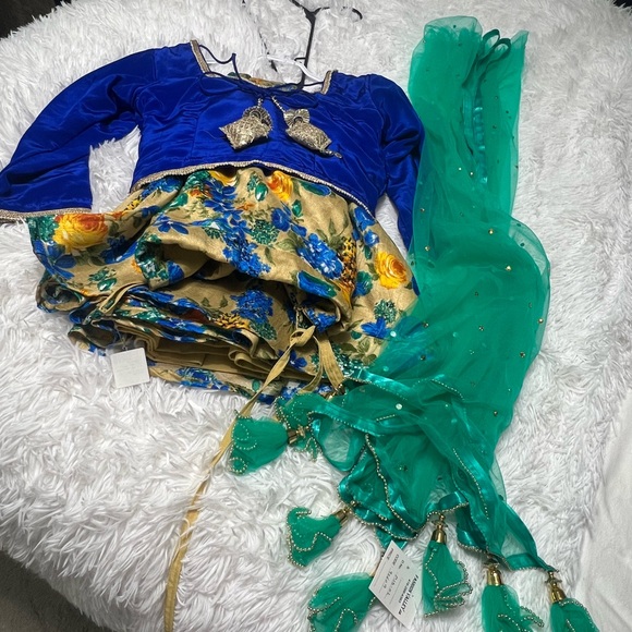 Indian Lehnga outfit beautiful - Picture 6 of 8